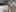 2025 Kia Carnival Hybrid